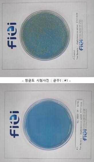 S. aureus test photographs